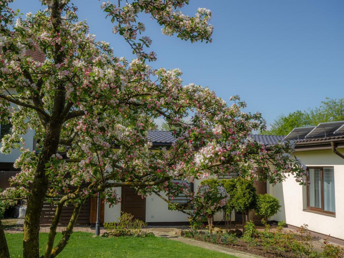 Amphora Villa Ventspils Exterior photo